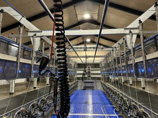 2X24 BouMatic SmartWay 90