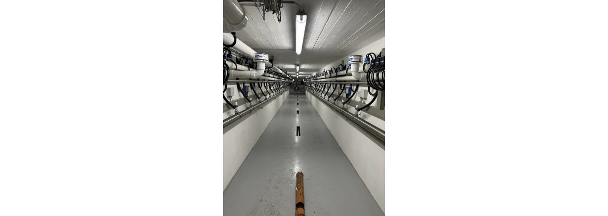 2X24 BouMatic SmartWay 90