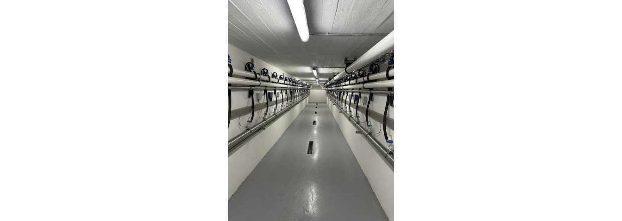 2X24 BouMatic SmartWay 90